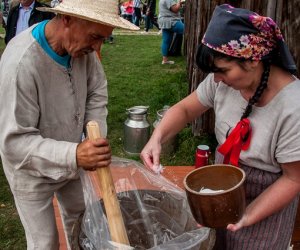 Jesień w polu i zagrodzie Jesień w polu i zagrodzie