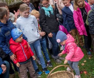 Jesień w Polu i Zagrodzie 2018 - fotorelacja Jesień w Polu i Zagrodzie 2018 - fotorelacja