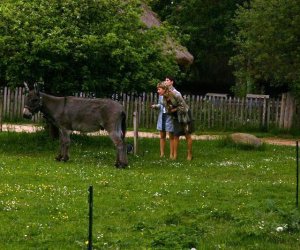 Początek wiosny w Muzeum Rolnictwa im. ks. K. Kluka w Ciechanowcu to czas dla zwierząt. Początek wiosny w Muzeum Rolnictwa im. ks. K. Kluka w Ciechanowcu to czas dla zwierząt.