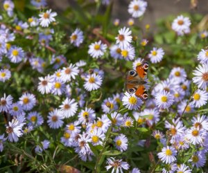 NIECOdziennik muzealny - Wieś w październiku NIECOdziennik muzealny - Wieś w październiku
