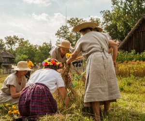 Święto Chleba po raz trzynasty Święto Chleba po raz trzynasty