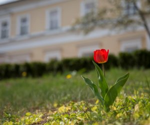 Codziennik Muzealny - Wiosna w ciechanowieckim muzeum Codziennik Muzealny - Wiosna w ciechanowieckim muzeum