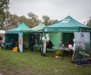 Jesień w polu i zagrodzie - fotorelacja