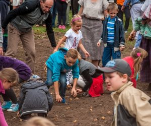Jesień w polu i zagrodzie Jesień w polu i zagrodzie