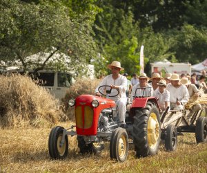 XXIII Podlaskie Święto Chleba - fotorelacja XXIII Podlaskie Święto Chleba - fotorelacja