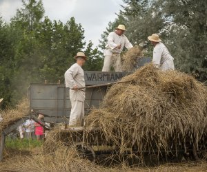 XXIII Podlaskie Święto Chleba - fotorelacja XXIII Podlaskie Święto Chleba - fotorelacja