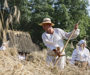 XX Podlaskie Święto Chleba - fotorelacja XX Podlaskie Święto Chleba - fotorelacja