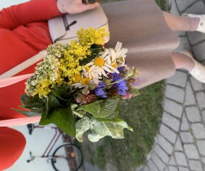 NIECOdziennik Muzealny - Żywa tradycja NIECOdziennik Muzealny - Żywa tradycja