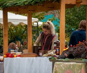 Jesień w polu i zagrodzie Jesień w polu i zagrodzie