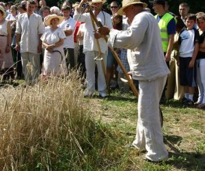 IX Podlaskie Święto Chleba IX Podlaskie Święto Chleba