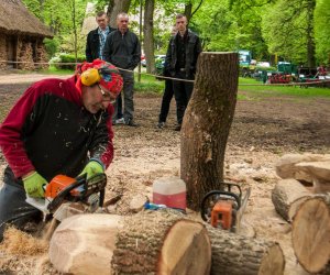 Jarmark św. Wojciecha i Święto Lasu Jarmark św. Wojciecha i Święto Lasu