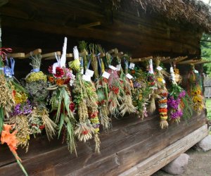 VIII PODLASKIE ŚWIĘTO CHLEBA VIII PODLASKIE ŚWIĘTO CHLEBA