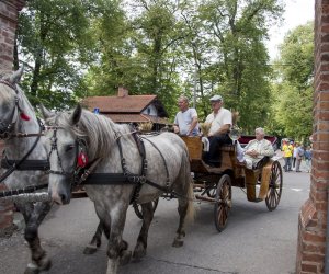 XVI Podlaskie Święto Chleba XVI Podlaskie Święto Chleba