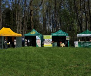 Galeria - 2012 Galeria - 2012