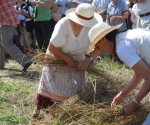 IX Podlaskie Święto Chleba IX Podlaskie Święto Chleba