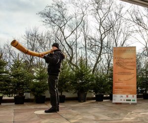 Galeria z 5 grudnia 2015 Galeria z 5 grudnia 2015