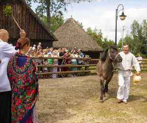 XXII Podlaskie Święto Chleba - fotorelacja XXII Podlaskie Święto Chleba - fotorelacja