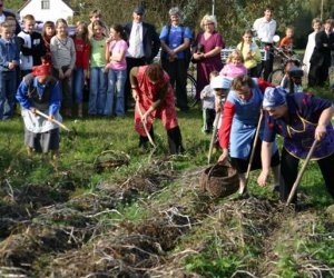 "Wykopki pod Wiatrakiem" - relacja "Wykopki pod Wiatrakiem" - relacja