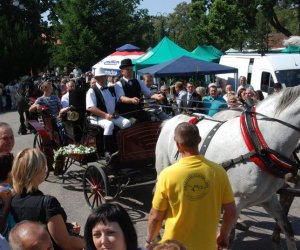 IX Podlaskie Święto Chleba IX Podlaskie Święto Chleba