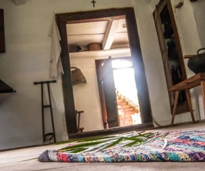 Zielone Świątki Zielone Świątki