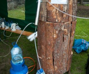 Jarmark św. Wojciecha i Święto Lasu Jarmark św. Wojciecha i Święto Lasu