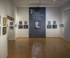 Fotorelacja z wernisażu "Pastelowe wspomnienia: mój makro- i mikroświat"