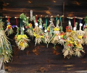 VIII PODLASKIE ŚWIĘTO CHLEBA VIII PODLASKIE ŚWIĘTO CHLEBA