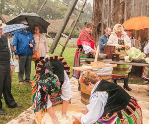 Wykopki w Skansenie 2013 Wykopki w Skansenie 2013