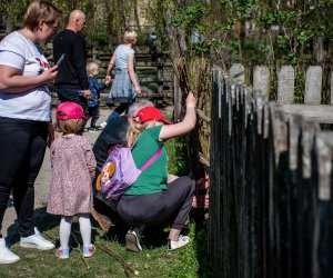 Jarmark św. Wojciecha A.D. 2023 - podsumowanie i fotorelacja Jarmark św. Wojciecha A.D. 2023 - podsumowanie i fotorelacja