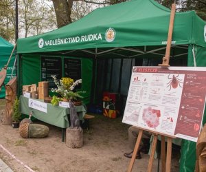 Jarmark św. Wojciecha 2019 - fotorelacja Jarmark św. Wojciecha 2019 - fotorelacja