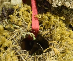 Oficyna – ekspozycja „Tradycje zielarskie” Oficyna – ekspozycja „Tradycje zielarskie”