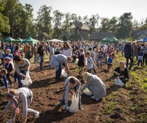 Jesień w polu i zagrodzie - fotorelacja