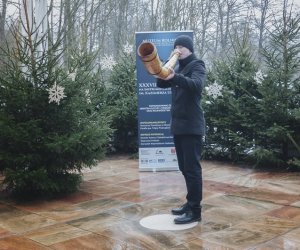 Ligawki 2017 - fotorelacja Ligawki 2017 - fotorelacja