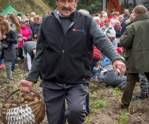 Jesień w Polu i Zagrodzie 2018 - fotorelacja Jesień w Polu i Zagrodzie 2018 - fotorelacja