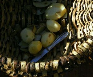 Wykopki w skansenie 2009