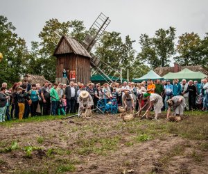 Jesień w polu i zagrodzie Jesień w polu i zagrodzie