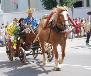 IX Podlaskie Święto Chleba IX Podlaskie Święto Chleba