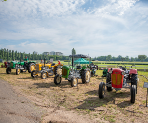 "Piknik Poznaj Dobrą Żywność" - Służewiec - 26 maja 2024 r. - fotorelacja