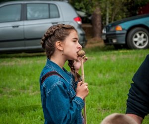 Jesień w polu i zagrodzie Jesień w polu i zagrodzie