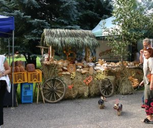 VII PODLASKIE ŚWIĘTO CHLEBA VII PODLASKIE ŚWIĘTO CHLEBA