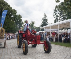 XXIII Podlaskie Święto Chleba - fotorelacja XXIII Podlaskie Święto Chleba - fotorelacja