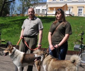 Galeria - 2012 Galeria - 2012