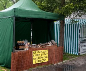 Jarmark św. Wojciecha i Święto Lasu