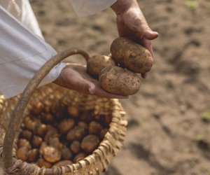 DZIAŁ PROMOCJI DZIAŁ PROMOCJI