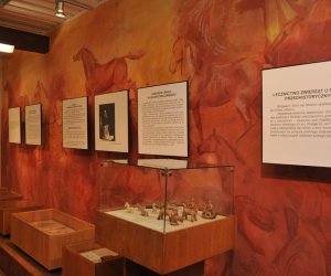 Odnowiona ekspozycja Muzeum Weterynarii Odnowiona ekspozycja Muzeum Weterynarii