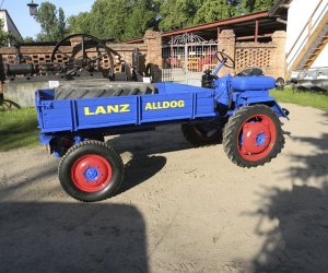 Wyglądają przepięknie Wyglądają przepięknie