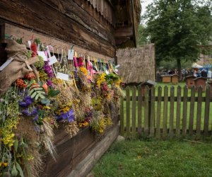 XVII Podlaskie Święto Chleba - fotorelacja XVII Podlaskie Święto Chleba - fotorelacja