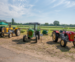 "Piknik Poznaj Dobrą Żywność" - Służewiec - 26 maja 2024 r. - fotorelacja