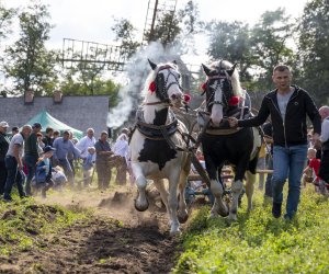„Jesień w polu i zagrodzie” 2023 r. - fotorelacja i podsumowanie „Jesień w polu i zagrodzie” 2023 r. - fotorelacja i podsumowanie
