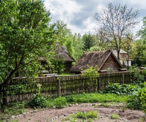 Ludowe Zielone Świątki - święto kościelne Zesłania Ducha Świętego, zamykającego cykl Wielkanocy 15 maja 2016 r. Ludowe Zielone Świątki - święto kościelne Zesłania Ducha Świętego, zamykającego cykl Wielkanocy 15 maja 2016 r.